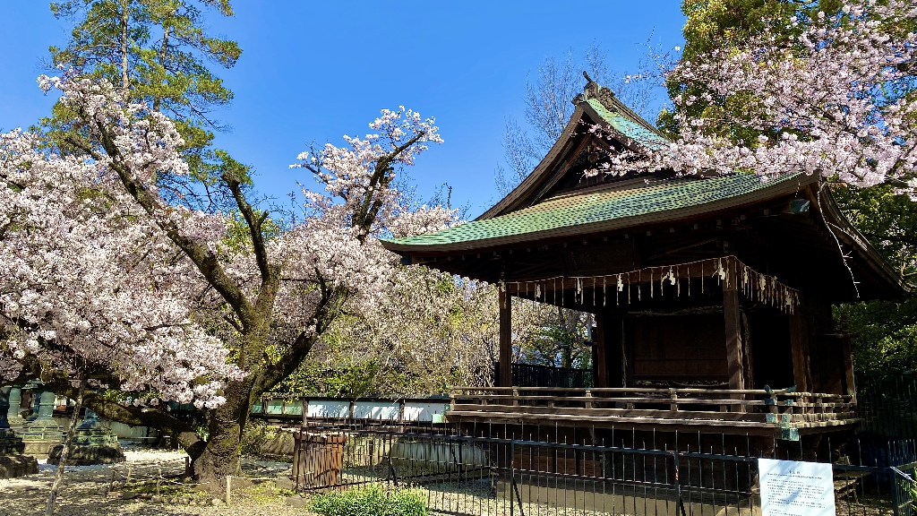 「令和4年　花見」