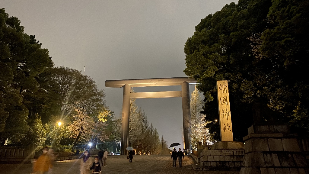 雨の日の夜桜