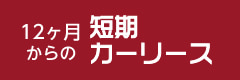 12ヶ月からの短期カーリース